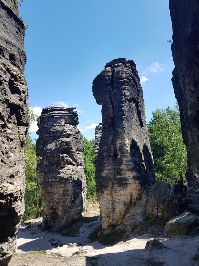 Апартаменты Auf-Der-Muehlwiese Гросшёнау Экстерьер фото