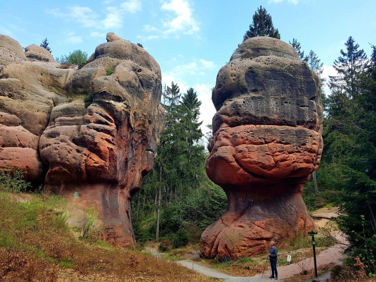 Апартаменты Auf-Der-Muehlwiese Гросшёнау Экстерьер фото